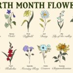 DO YOU KNOW YOUR BIRTH FLOWER?
