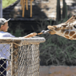 REID PARK ZOO ADMISSION PRICES INCREASE AS OF JULY 2024