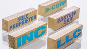 What Type of Company Should You Create?